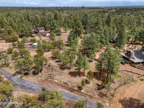 3325 Ox Bow Bend Rd #396, Overgaard, AZ 85933 photo 8