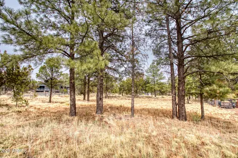 3325 Ox Bow Bend Rd #396, Overgaard, AZ 85933 photo 5