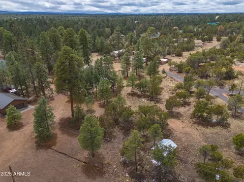 3325 Ox Bow Bend Rd #396, Overgaard, AZ 85933 photo 2