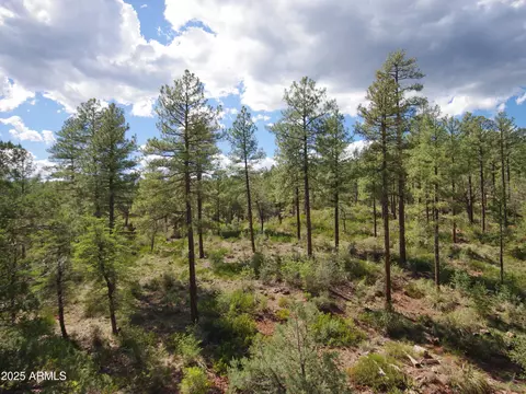 Other - 134 E Belluzzi Blvd, Payson, AZ 85541 photo 1 of 5