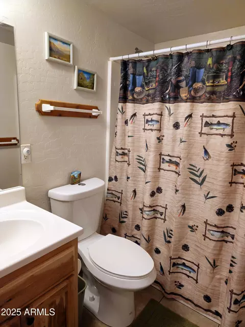Bath - 134 E Belluzzi Blvd, Payson, AZ 85541 photo 2 of 2