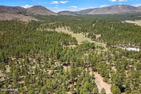 Other - 2 N County Road N2147 --, Alpine, AZ 85920 photo 18 of 18