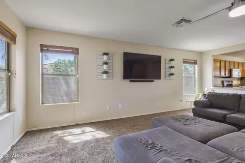 Other - 10923 E Flower Ave, Mesa, AZ 85208 photo 6 of 11
