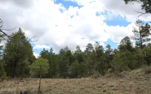 3339 Sawmill Ridge Loop #97, Heber, AZ 85928