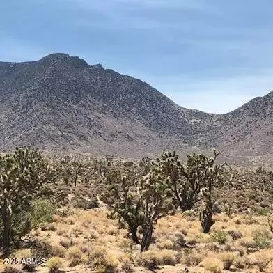 NNNN N Mountain Avenue #8, Wikieup, AZ 85360