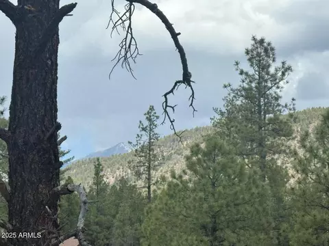 lot2 N Quintana Dr #2, Flagstaff, AZ 86001