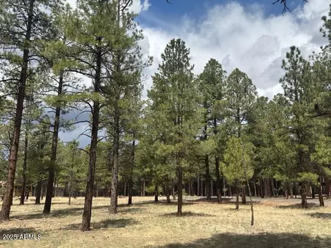 lot1 Hattie Greene -- #1, Flagstaff, AZ 86001