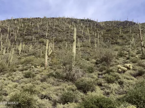 62 E Nn E Carriage Dr #-, Cave Creek, AZ 85331