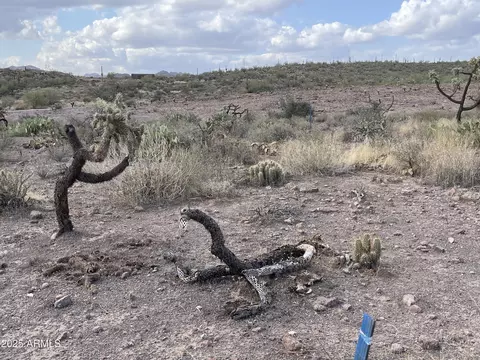 00 N Elephant Butte Rd #E, Queen Valley, AZ 85118