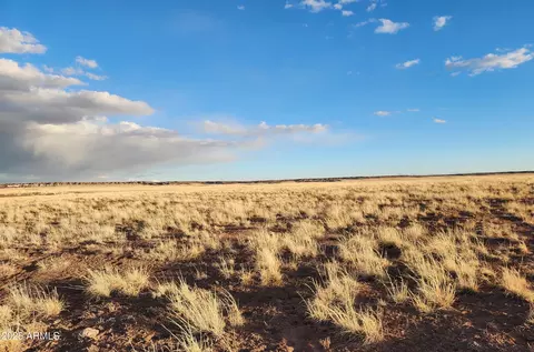 159 County Rd N9303 -- #-, Concho, AZ 85924 photo 6