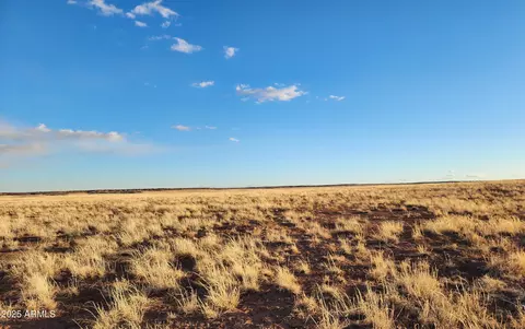 159 County Rd N9303 -- #-, Concho, AZ 85924 photo 7