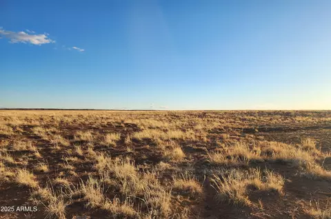159 County Rd N9303 -- #-, Concho, AZ 85924 photo 8
