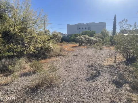 6039 S Alameda Rd #166, Gold Canyon, AZ 85118