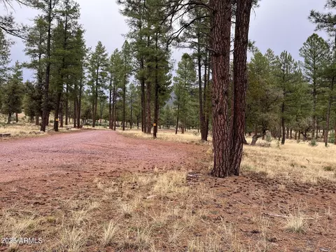 tbd N State Route 87 -- #-, Pine, AZ 85544 photo 4