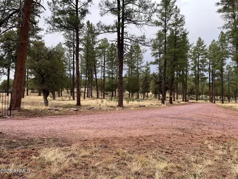 tbd N State Route 87 -- #-, Pine, AZ 85544 photo 5