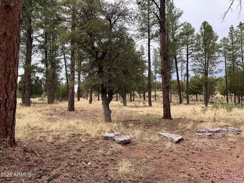 tbd N State Route 87 -- #-, Pine, AZ 85544