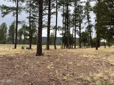 tbd N State Route 87 -- #-, Pine, AZ 85544 photo 3