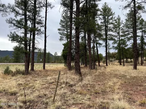 tbd N State Route 87 -- #-, Pine, AZ 85544 photo 2