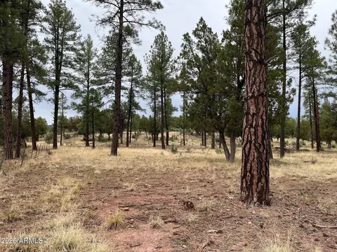tbd N State Route 87 -- #-, Pine, AZ 85544 photo 8
