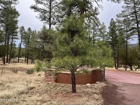 tbd N State Route 87 -- #-, Pine, AZ 85544 photo 6