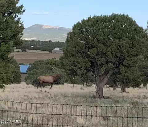 842 Vernon County Rd #-, Vernon, AZ 85940