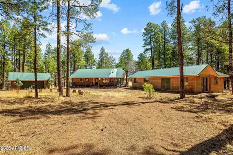 61 County Road 2266 --, Alpine, AZ 85920