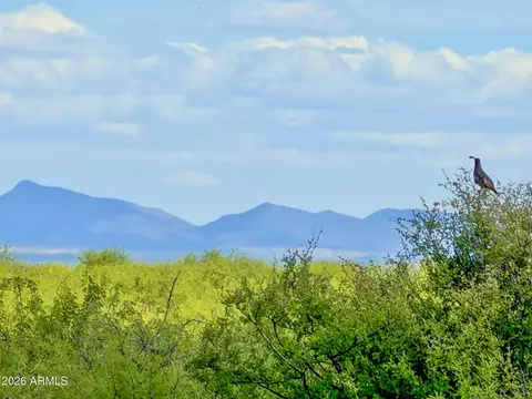 tbd S Solar Run 39 Acres -- #-, Willcox, AZ 85643 photo 10