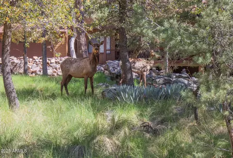 Other - 5204 N Juniper Loop, Pine, AZ 85544 photo 12 of 15
