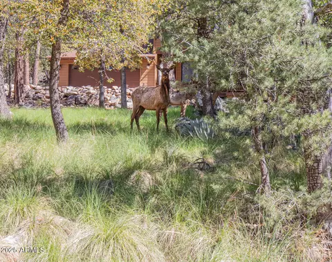 Other - 5204 N Juniper Loop, Pine, AZ 85544 photo 13 of 15
