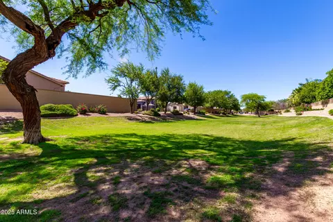 870 E Megan St, Gilbert, AZ 85295 photo 40
