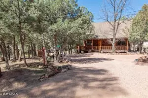 Other - 3458 N Meadow Dr, Pine, AZ 85544 photo 3 of 19