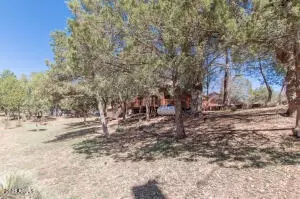 Exterior - 3458 N Meadow Dr, Pine, AZ 85544 photo 11 of 13