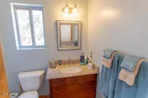 Bath - 3458 N Meadow Dr, Pine, AZ 85544 photo 4 of 5