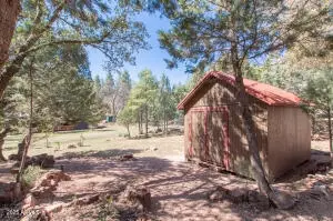 Exterior - 3458 N Meadow Dr, Pine, AZ 85544 photo 9 of 13
