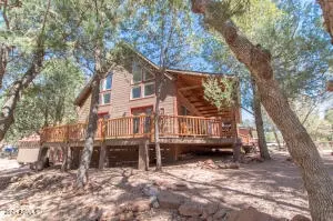 Other - 3458 N Meadow Dr, Pine, AZ 85544 photo 4 of 19