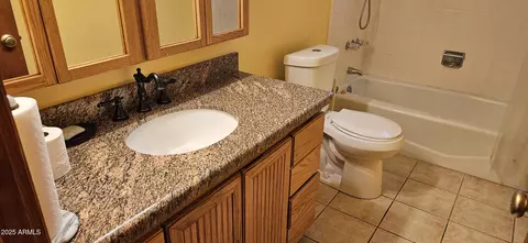 1586 S Lawther Dr, Apache Junction, AZ 85120 photo 9
