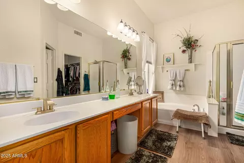Bath - 115 E Spur Ave, Gilbert, AZ 85296 photo 3 of 3