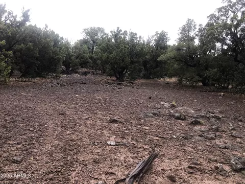 5 N 8333 Rd # X, Concho, AZ 85924