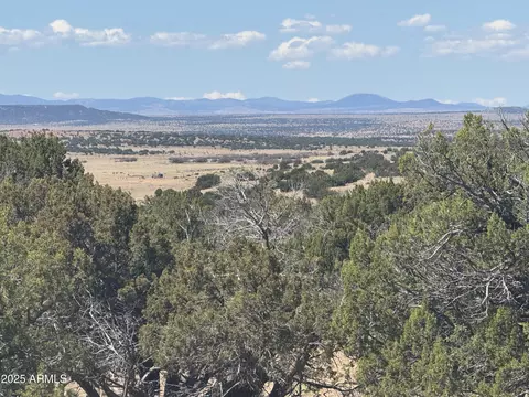lot753 Woodland Valley Rnch #753, Saint Johns, AZ 85936