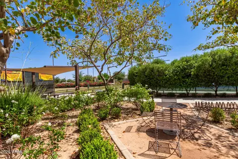 10310 E Tillman Ave, Mesa, AZ 85212 photo 34