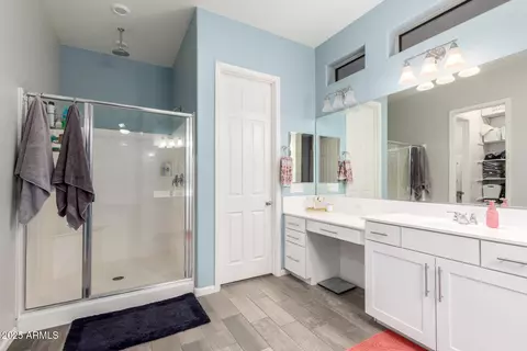 3081 E Desert Broom Pl, Chandler, AZ 85286 photo 25