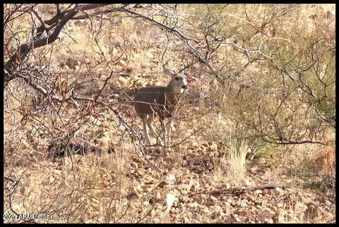 Other - 316 B St, Bisbee, AZ 85603 photo 12 of 12