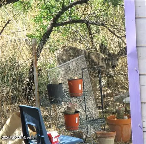 Exterior - 316 B St, Bisbee, AZ 85603 photo 10 of 11