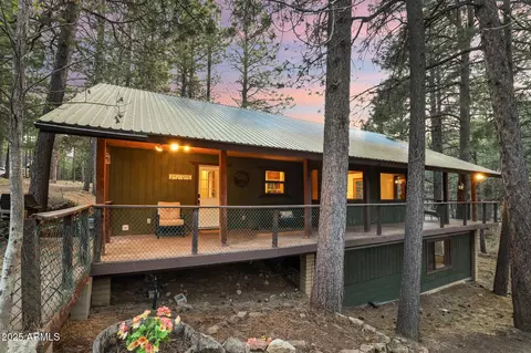 2729 Larson Loop, Forest Lakes, AZ 85931 photo 54