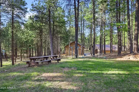 2729 Larson Loop, Forest Lakes, AZ 85931 photo 34