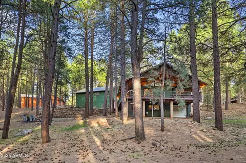2729 Larson Loop, Forest Lakes, AZ 85931 photo 39