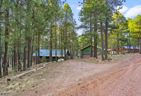 2729 Larson Loop, Forest Lakes, AZ 85931 photo 40