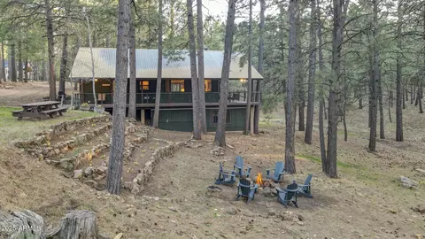 2729 Larson Loop, Forest Lakes, AZ 85931 photo 38