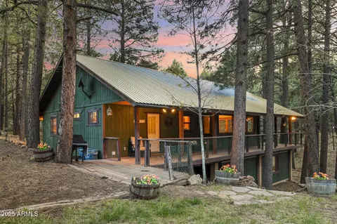 2729 Larson Loop, Forest Lakes, AZ 85931 photo 3