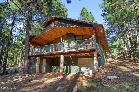 2729 Larson Loop, Forest Lakes, AZ 85931 photo 49